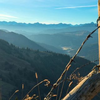 Neuer Yoga-Kurs ab Montag 25.9.23 in Durach, 8.30 - 10.00Uhr, Infos und Anmeldung über die www.vhs-kempten.de